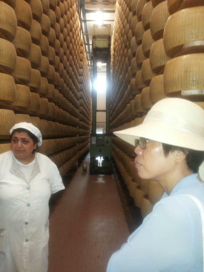 App.To Pian Del Ronco Lägenhet Pellegrino Parmense Exteriör bild
